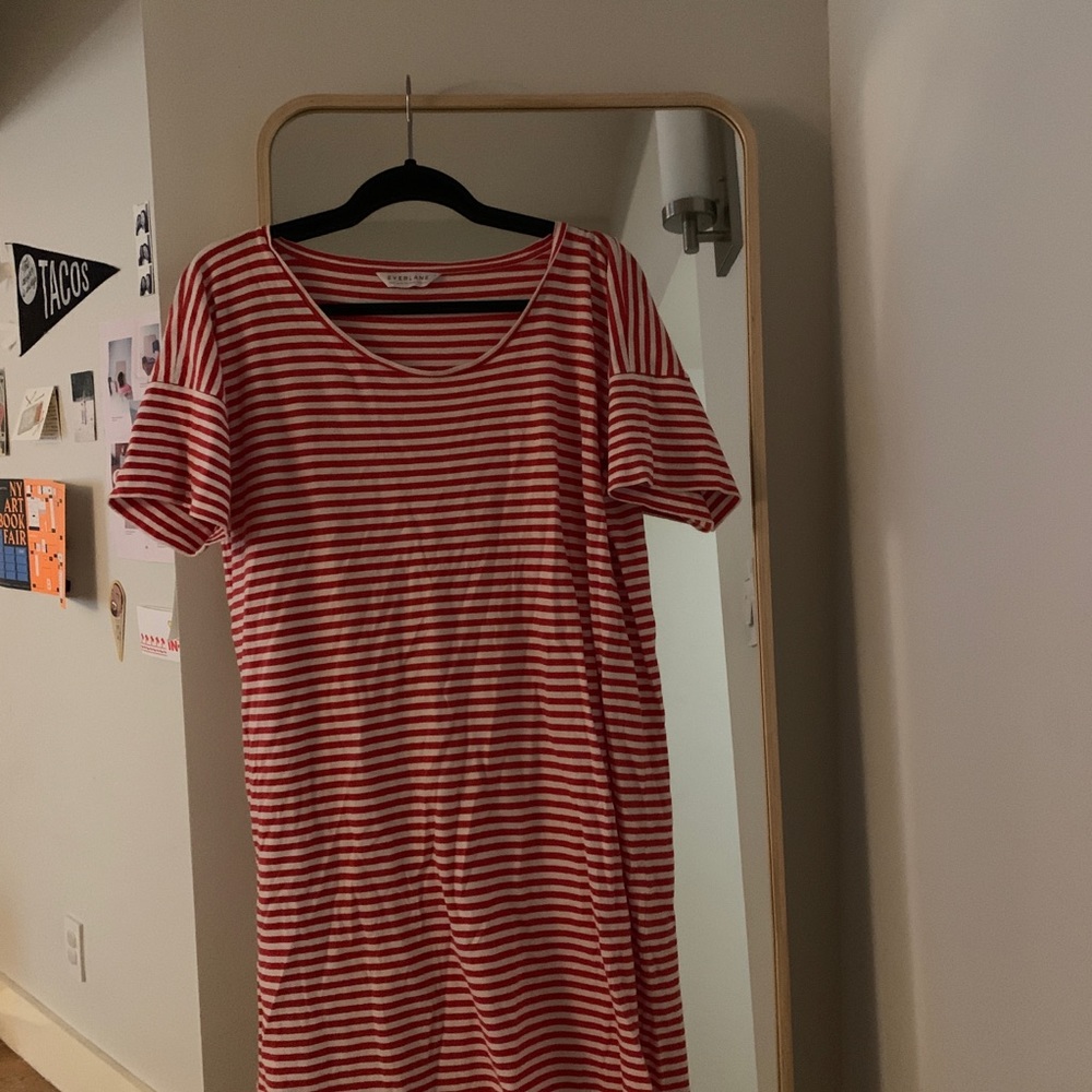 everlane cotton striped tee dress